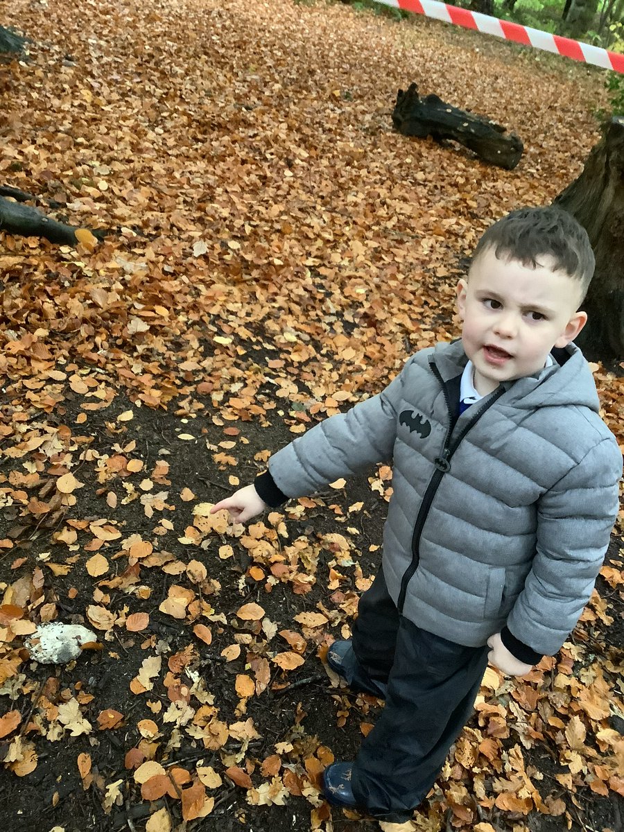 Cuiken_Primary's tweet photo. Our 1st Nature play session for some of our Nursery Learners. We discussed risk and followed the instructions given to keep safe. We were introduced to new vocabulary and found out interesting facts about the creatures who may visit the woods #outdoorlearning https://t.co/MMZZbxpNRd