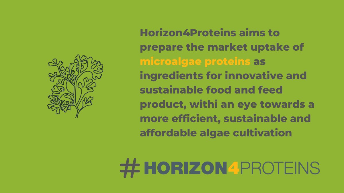 Horizon4Proteins is developing high quality, safe, nutritious, sustainable food ingredients, such as microalgae, single cells, insects, and protein crops. Discover today's alternative protein!
#Horizon4Proteins #NextGenProteins #ProFutureEU #food4climatepavilion 
@susinchain