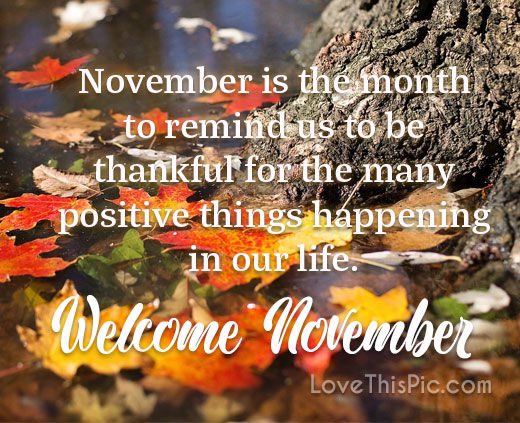 GwynninPA's tweet photo. Welcome #November! What are you thankful for? I’m thankful I was able to raise my daughters in America. Home of the Free because of the Brave !! 🇺🇸 #VoteredtosaveAmerica #VoteRedForDemocracy https://t.co/DsYi5CYNCT