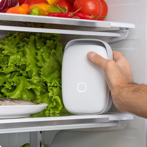 Andrea on X: Re: reducing food waste ♻️ Shelfy is a fridge air purifier  —reduces bacteria —reduces odors —promises food lasting 3x shelf life   / X