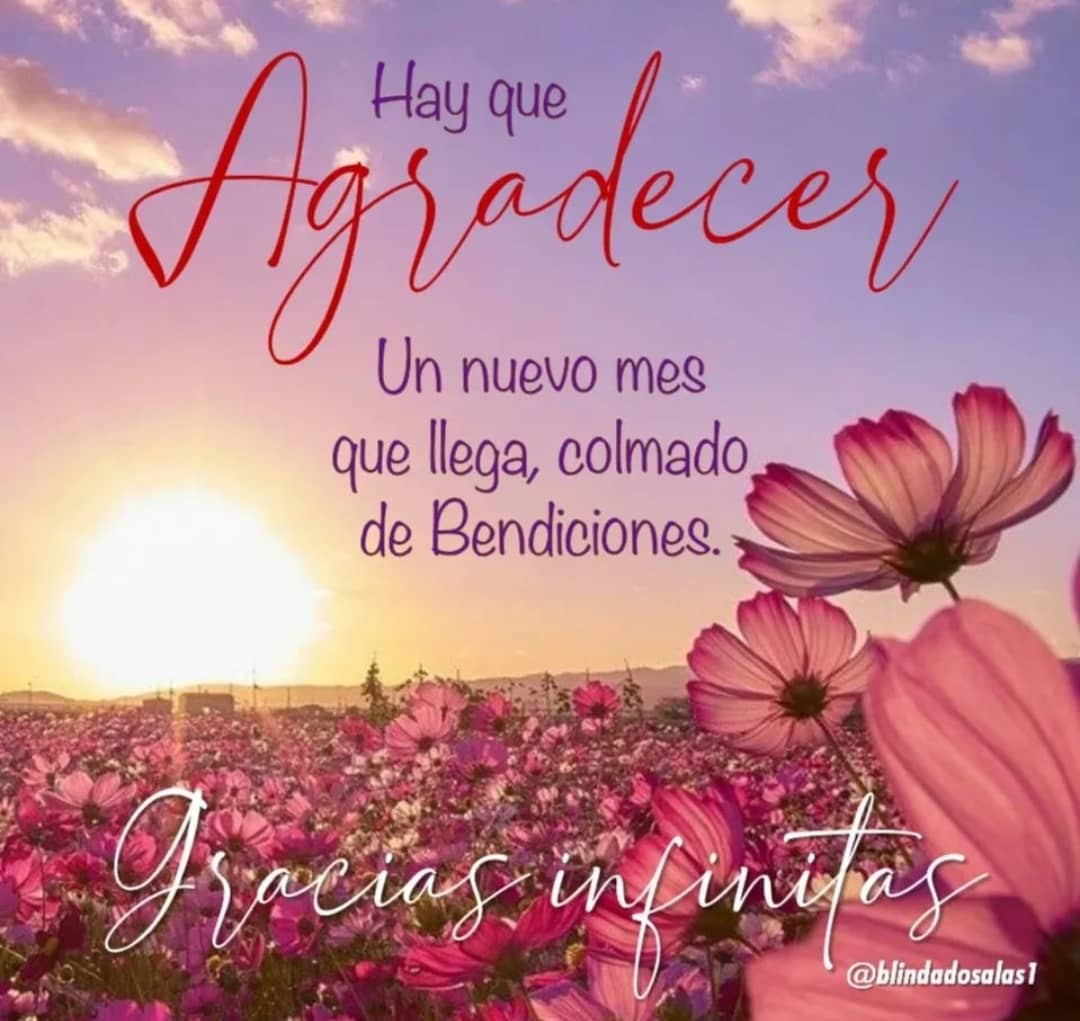 chenriquez_c's tweet photo. https://t.co/UrkiAEhaq5