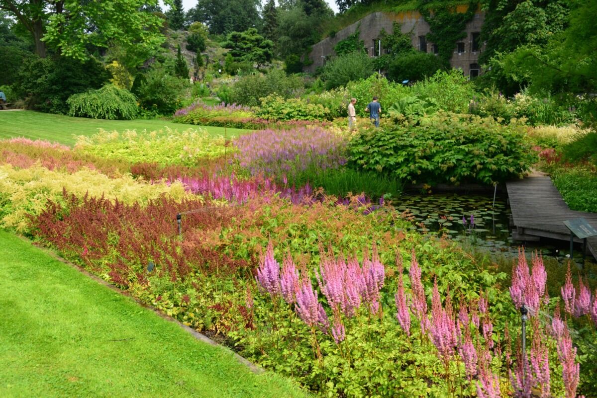 Als er één tuin een fascinerend bezoek meer dan waar is, dan is het wel Fort Hoofddijk.
gardentours.nl/tuinen/fort-ho…