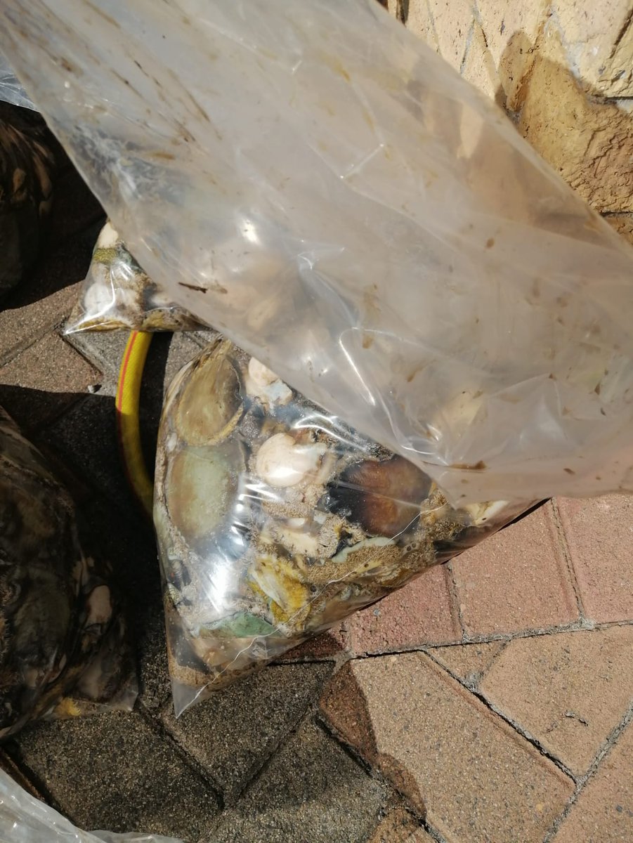 SAPoliceService tweet picture
