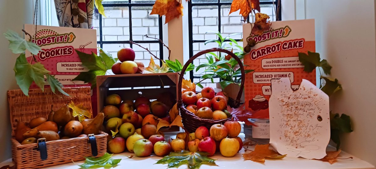 HoweChoir's tweet image. Juicy! Juicy! Juicy!
Treat Yourself to fresly and carefully picked organic assorted fruits.
Mouth watering!
It's that time of the year hurray!!!!
The fruit jungle