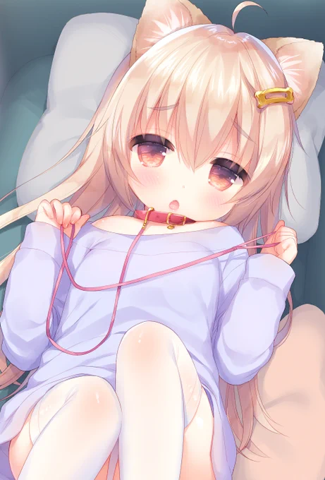 いぬのひ 