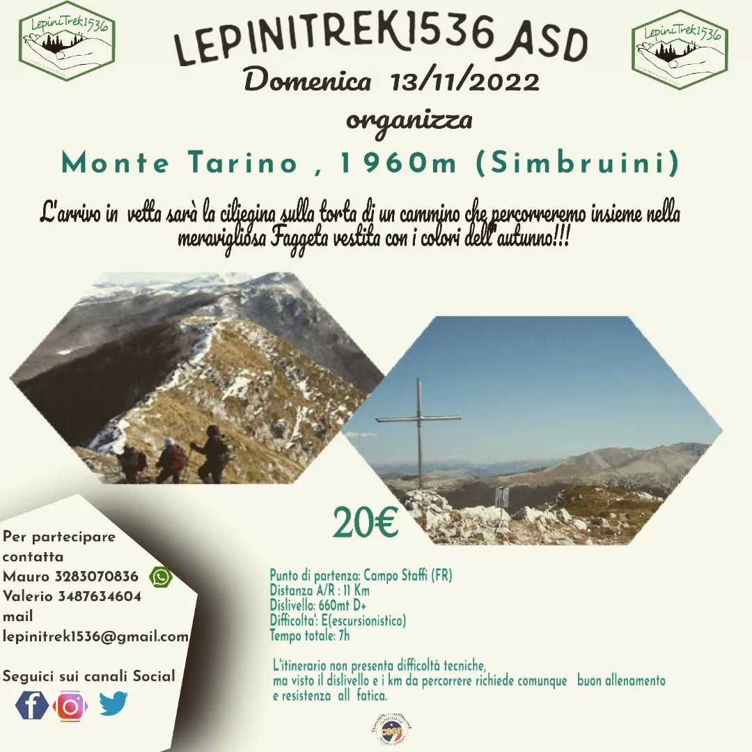 LepiniTrek1536 tweet media