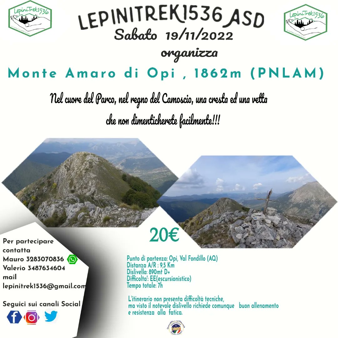 LepiniTrek1536 tweet media