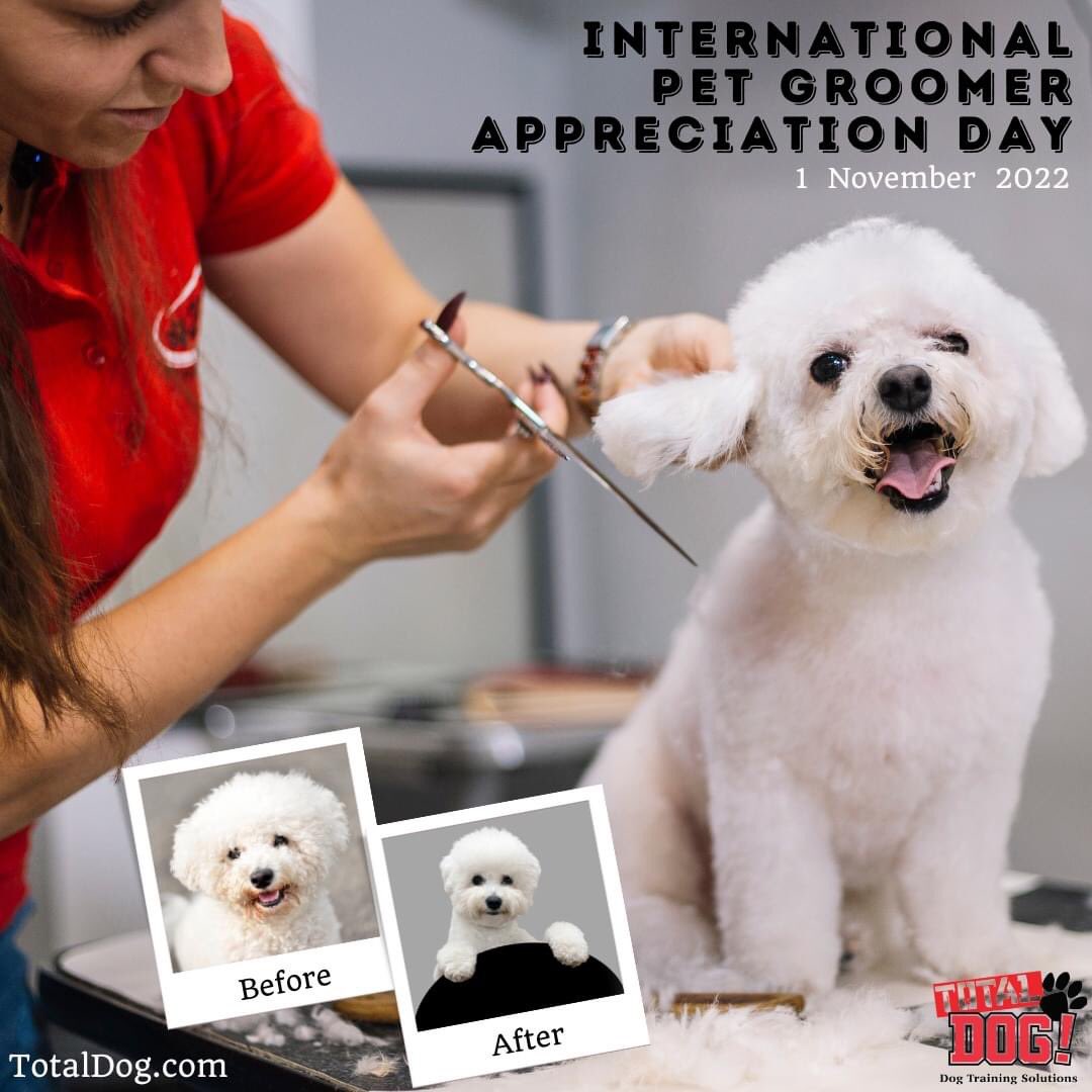 Total_Dog's tweet photo. International Pet Groomer Appreciation Day is celebrated on November 1 to honor our favorite pet groomers and raise awareness of the industry. It honors pet groomers who improve our pets' life. They groom our dogs and check for skin issues that may need vet attention. https://t.co/2lK1gdy77t