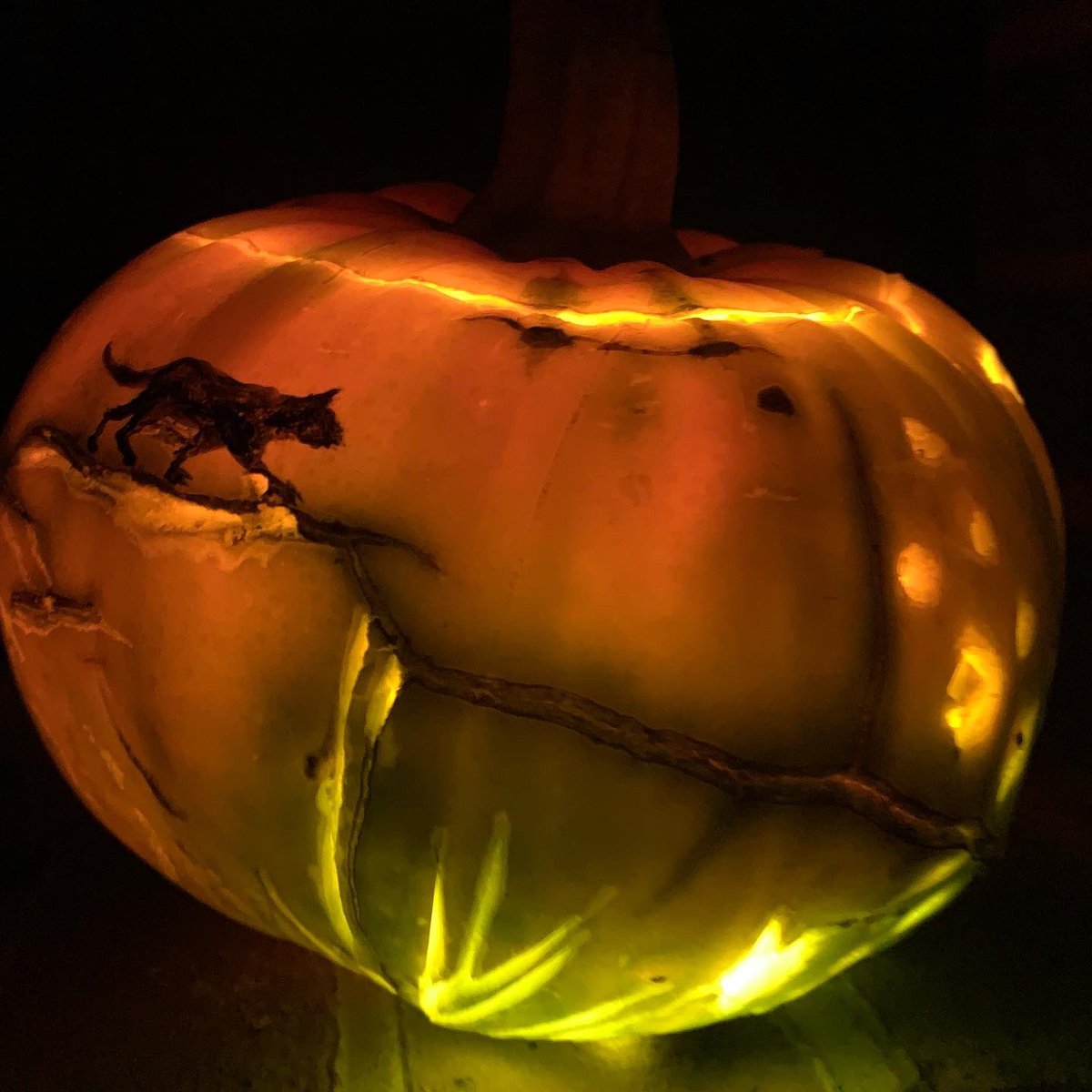 mediumawareness's tweet photo. can i recommend having a mildly confused and well aged globe courgette to hand rather than a pumpkin? even if it means you end up doing a 270° carving https://t.co/ezx2w1Qdkx
