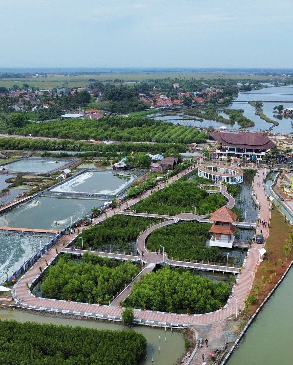 txtdaritng's tweet photo. Kawasan Wisata Aquaculture. Destinasi wisata dan edukasi mangrove ini berlokasi di Desa Ketapang, Mauk, Kabupaten Tangerang. Udah ada yang kesini belum? https://t.co/MoSOZi8lBM
