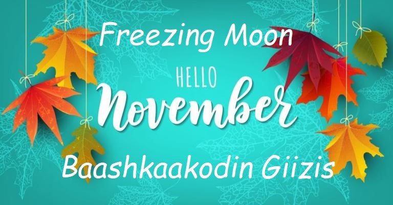 Baashkaakodin Giizis is the Anishinaabe word for the Freezing Moon of Nov. As we move further into this month we'll feel those colder temps, more frost &amp; preps of nature getting Mother Earth ready for a winters rest. Wishing you all a good month ahead ❤