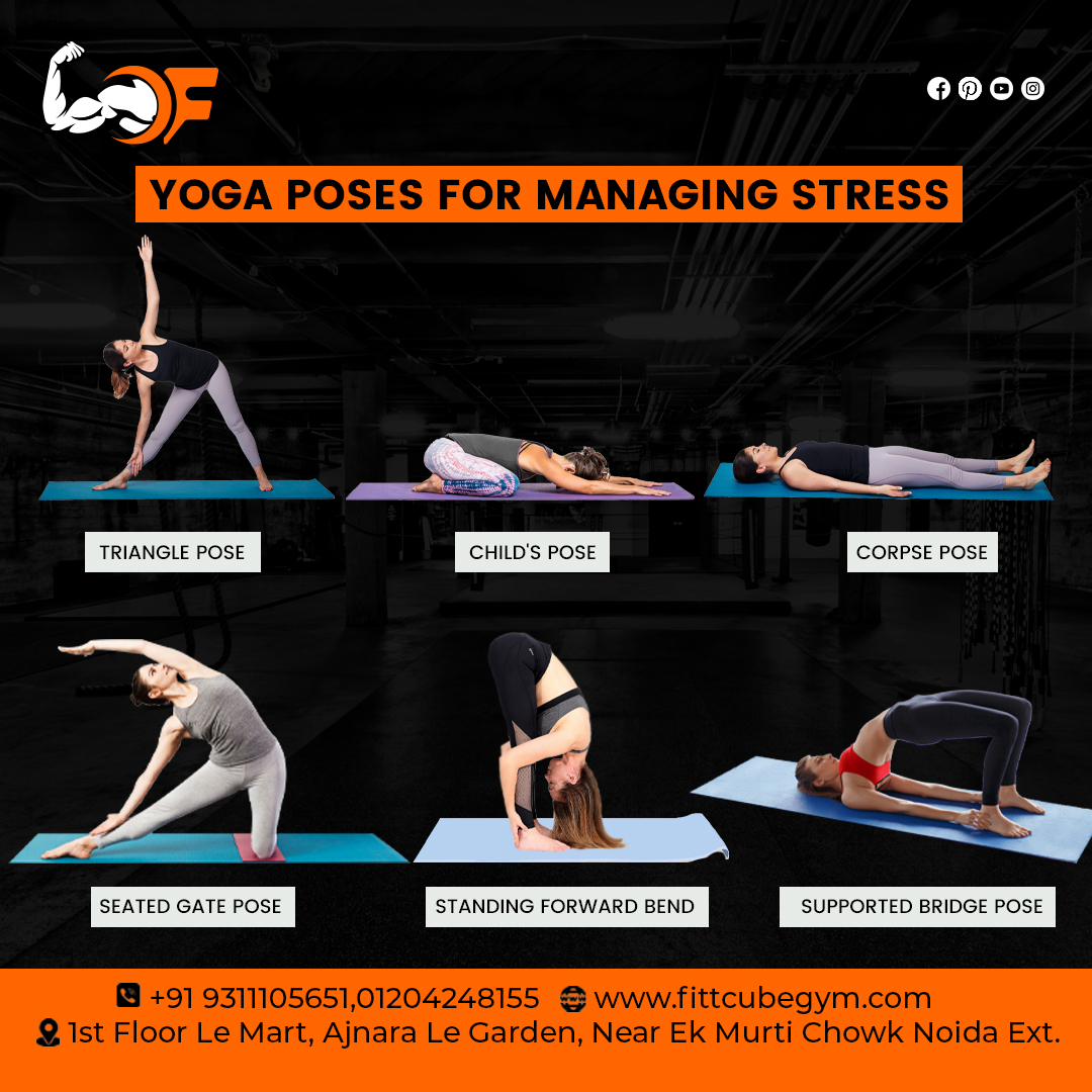 fittcubegym's tweet photo. Yoga Poses for Managing Stress
Triangle pose
Child's pose
Corpse pose
Call ☎️ at +91 9311105651, 0120 424 8155
Visit Our Site: https://t.co/n7A5VIt9cW
.
.
#fittcube #fittcubegym #motivation #personaltrainer #healthylifestyle #Trianglepose #Childpose #Corpsepose #yogainspiration https://t.co/DqkgqeEM0k