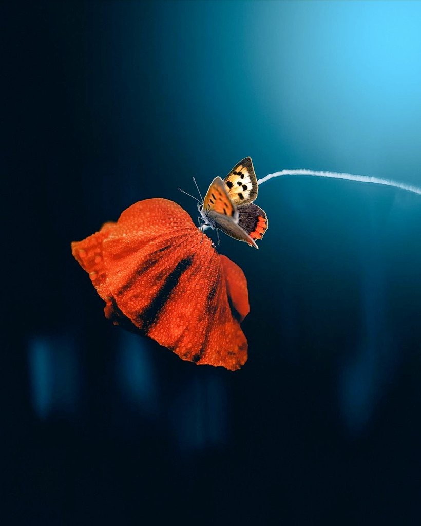 spin (@spindenu) on Twitter photo 