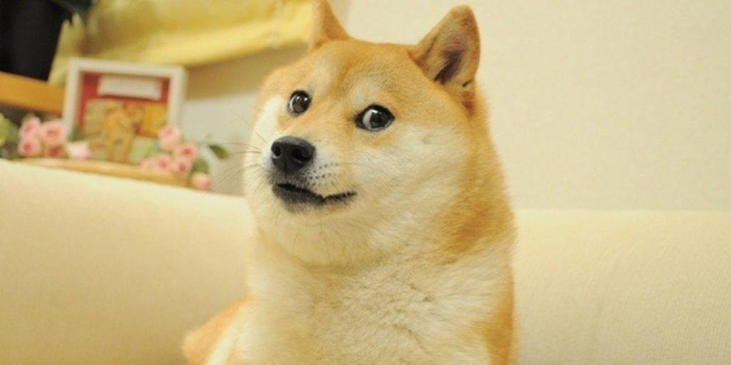 Doge狗狗币价格、市值、排名

0.13$ 188亿 排名8（现价）

0.20$ 265亿 排名6（超越XRP、BUSD）

0.40$ 530亿 排名4（超越BNB、USDC）

0.60$ 795亿 排名3（超越USDT）

1.50$ 1989亿 排名2（超越ETH）

3.00$ 3978亿 排名1（超越BTC）

看到有人说这波涨到1.5U，不知道咋想的？🤣