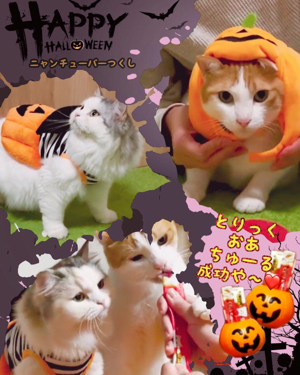 ⑲もっちー.。◦♡‬ もっちもち (@OrEfwQpknUoCVYW) / Posts / X