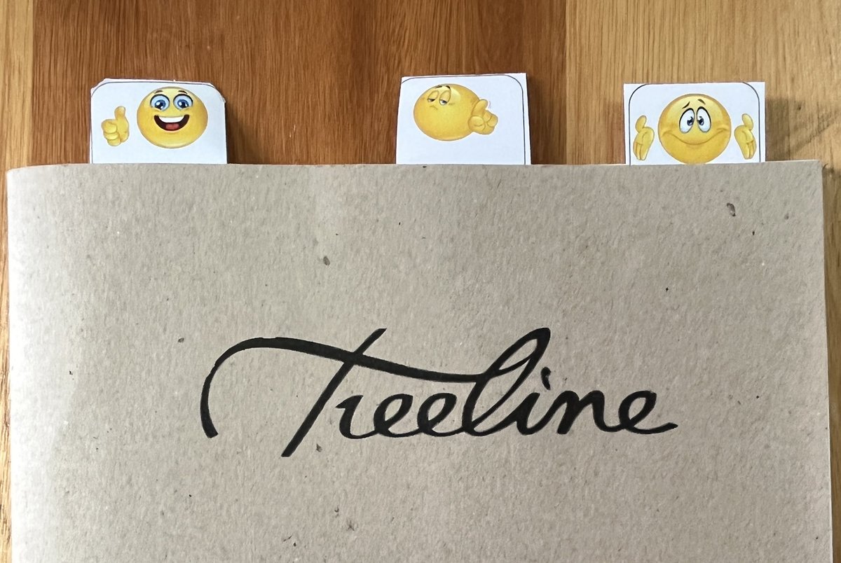 ana_c_c_gil's tweet image. G1 choose the learning to share at learner-parent-teacher conferences #aismlearns #portuguese #pyplanguage