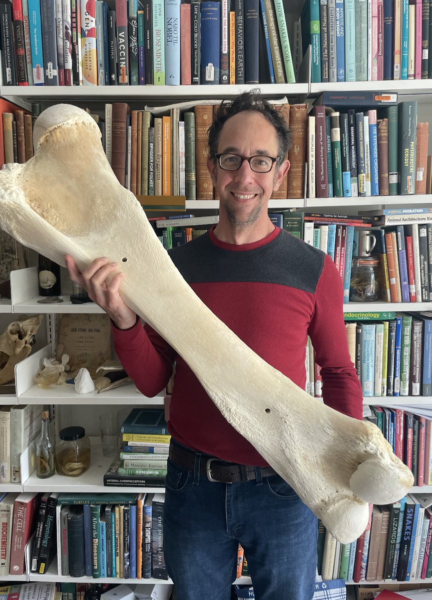 Tobias_Wang_AU's tweet image. Huge thanks to Dan Warren @SLUCompPhys for arranging a wonderful APS Intersociety meeting #Comparative2022 - zoophysiology rocks!