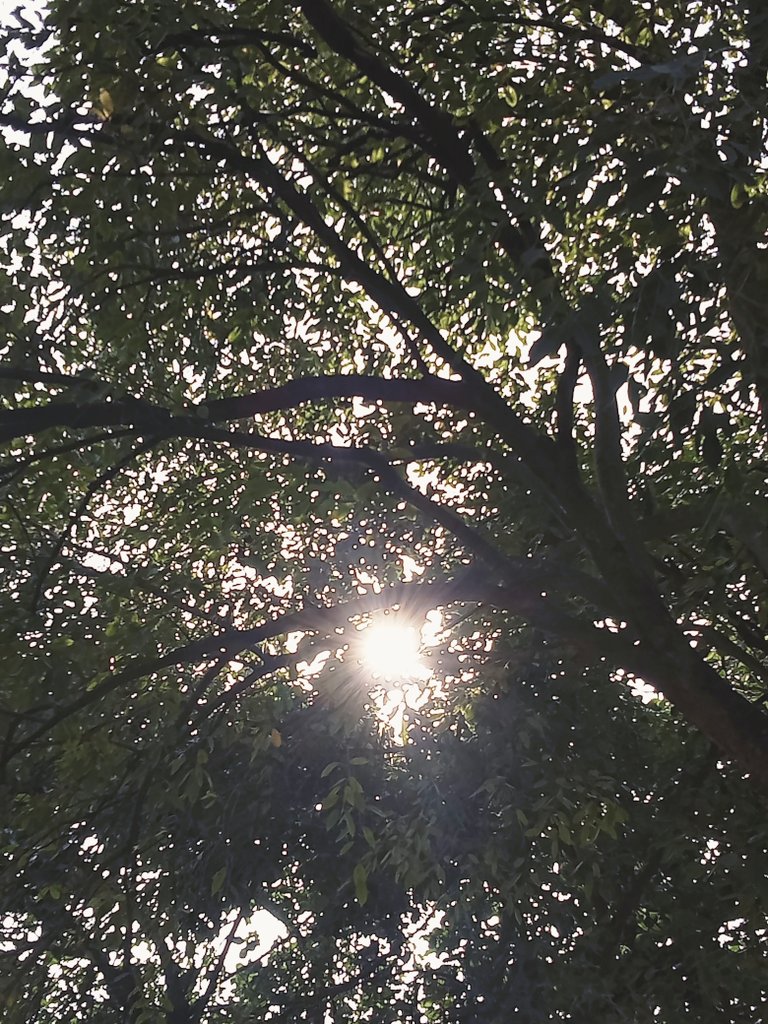 Prernakanani1's tweet photo. ढल गया दिन हो गई शाम..💕

#NaturePhotograhpy
#with_nature
#beautiful_sunset
#songlyrics🎶 https://t.co/esGnIk1y5i