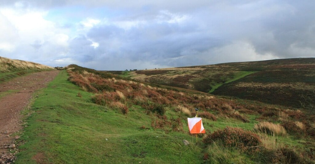 Quantock Orienteers tweet media