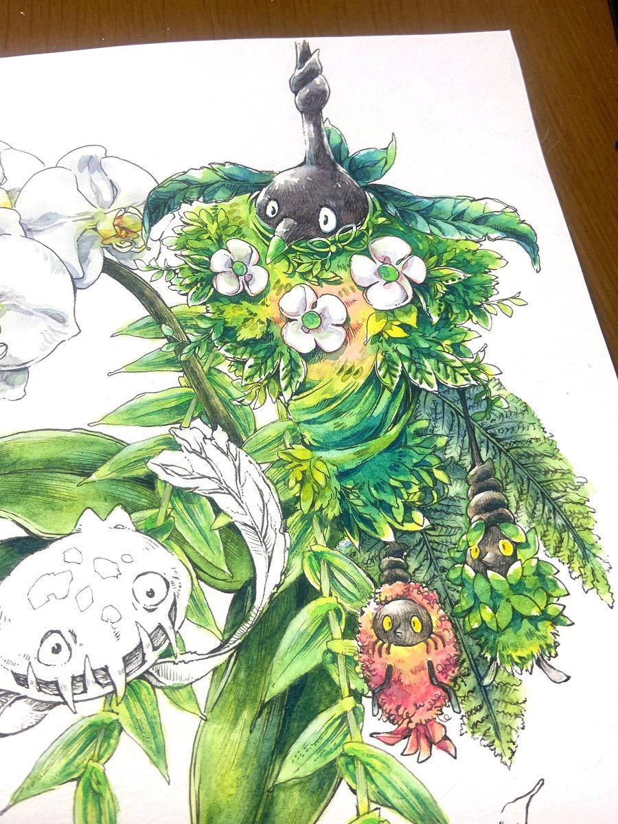 pokemon (creature) no humans flower traditional media leaf white background plant  illustration images