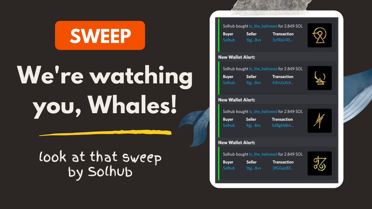 SOL_Decoder's tweet photo. 🐳 Whale watcher 🐳

For wallet updates of your favorite whales, get your hands on SOL Decoder's Whale Watcher. 

🔎 Get automated alerts in your discord server.

We offer a variety of tools for discord servers/DAOs. Join our discord for guidance. #C3D https://t.co/HngrFJgkYm