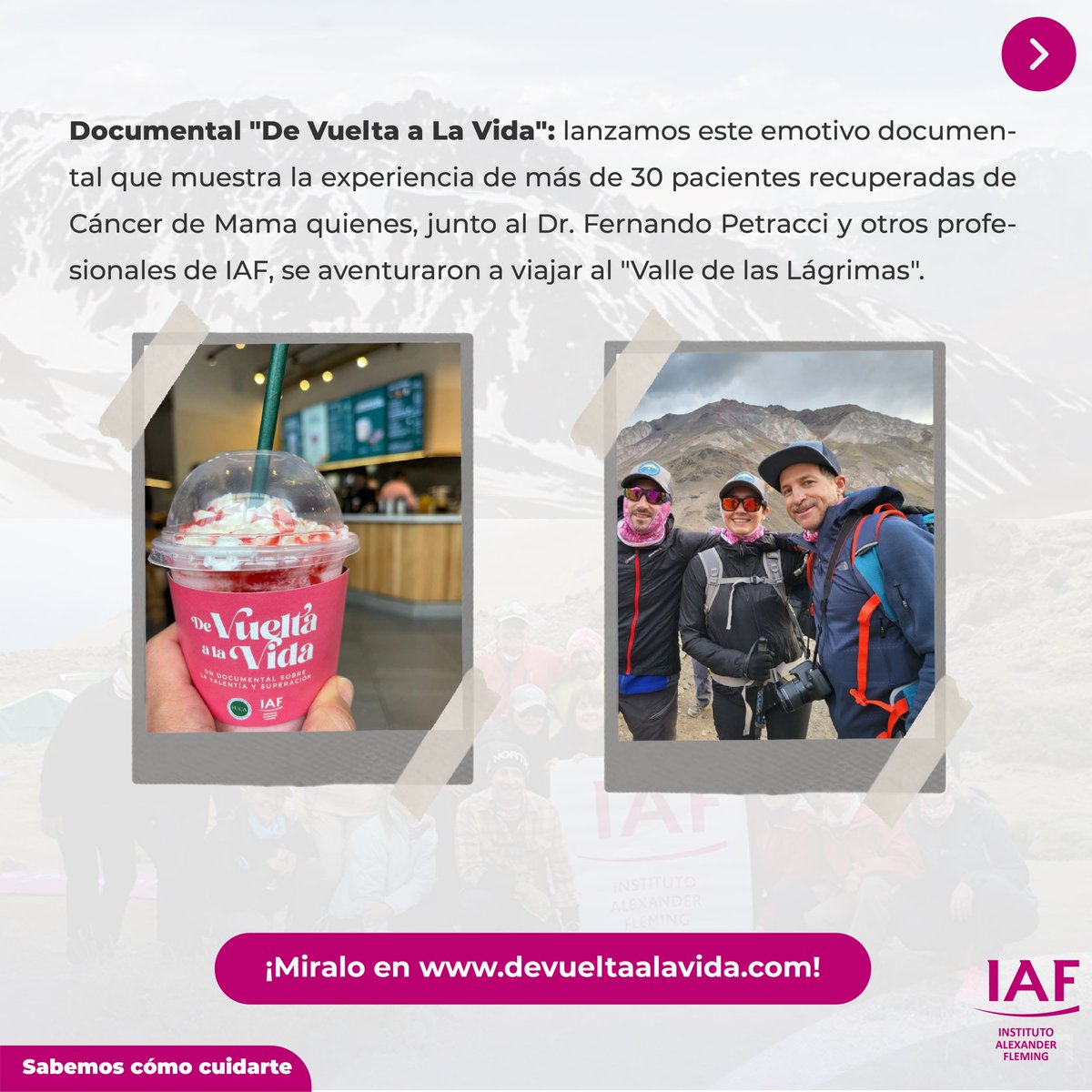IAF_Fleming's tweet photo. CIERRE MES ROSA 💖

¡Mirá todas las propuestas que te trajimos!

✅ Exposición fotográfica de Rosas del Plata
✅ Documental “De Vuelta a la Vida”
✅ Presentación del libro "El Cáncer y las Palabras"
✅ Nos movemos con #Starbucks y #FUCA
✅ Charla abierta por streaming https://t.co/XGGIuN7yAl