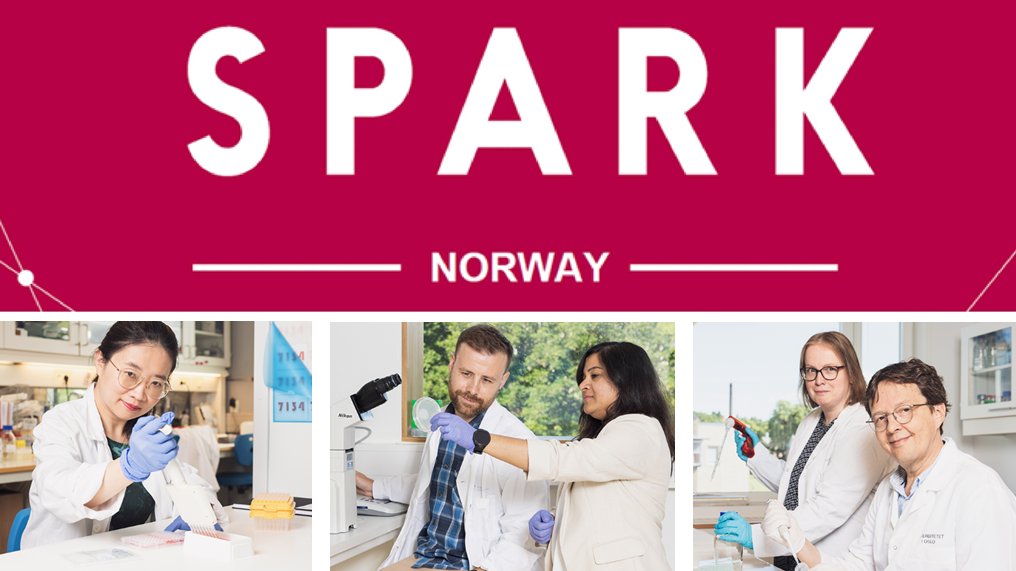 Are you a scientist @UniOslo @Oslounivsykehus @Ahus_no with an idea for a new solution or technology, but need help taking the next steps? Remember the SPARK Norway call – application deadline 10 November uio.no/english/resear…