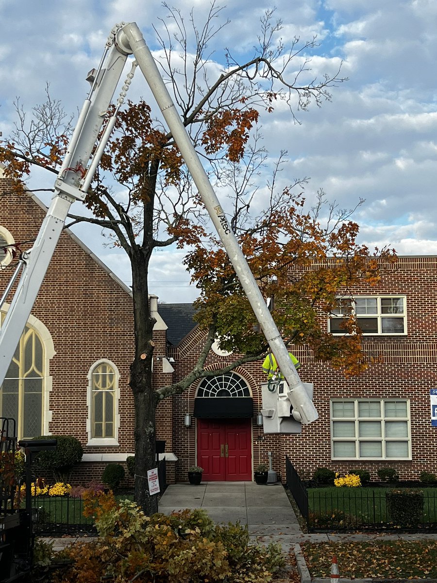 kanesn's tweet photo. Another beautiful tree chopped down by @CityRichmondVA. Pretty soon our whole neighborhood will be barren. #RVA https://t.co/Aig7SGq5hk