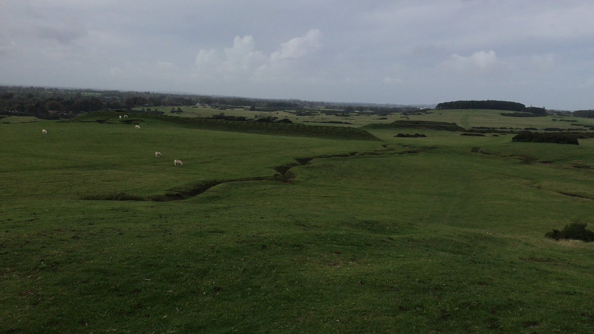 Colm642's tweet image. 