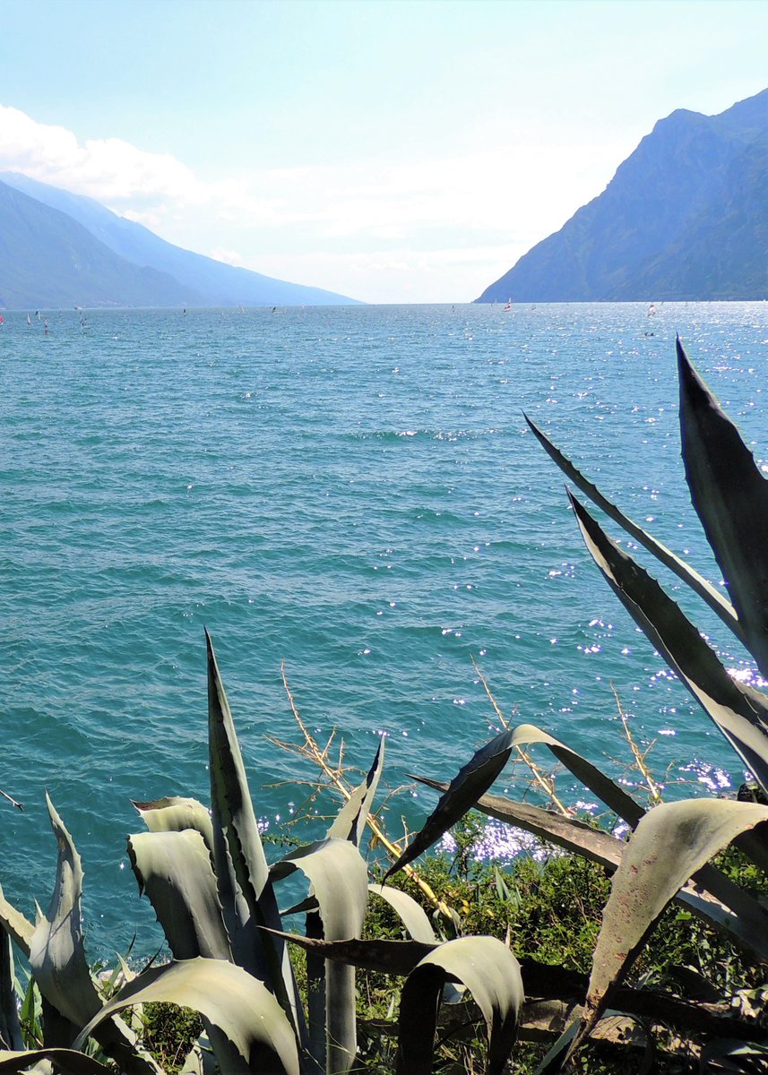 Riva del Garda,Trentino-Italy. #nature #lakes #travels
More at youtu.be/K2HApPDwF0k