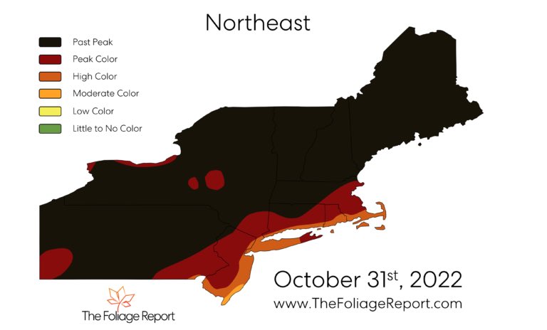 FoliageReport's tweet photo. Here is The Foliage Report for the Northeast as of October 31st, 2022. #FallFoliage https://t.co/J4H0hTMMpM