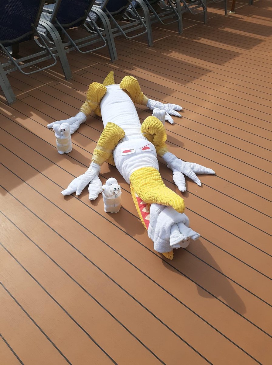 through_al's tweet photo. Time for TOWEL ANIMAL TUESDAY!Thanks @cpw2178 #travel #cruising #cruiselife #cruise #crocodile #TowelAnimal #RCL #RoyalCaribbean #cute #TowelAnimalTuesday #cruiseship #Caribbean #Towel #Fun #Norwegian #memories #funship  #tradition #ncl #msc #CruisingThroughLifewithAlandJeannie https://t.co/dpYRc6lUGZ