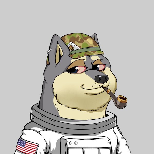 mdot1000_'s tweet photo. #Mutant @DogeClub_NFT 3 of 11, #AstroBoy!!!🧑🚀🧟♂️🐶
#MDOG #DOGC #DogeClub #MutantTakeover #TakeoverTuesday https://t.co/XrUbFJRNHc