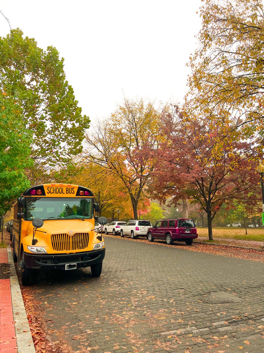 explorewithCHDS's tweet photo. This morning’s fog made the vibrant fall colors pop… including our trusty yellow bus! We have 5️⃣ #FieldEducation trips on the calendar today—let the exploring begin. 🚌🍂💡

And don’t forget to follow @explorewithchds on Instagram for a deeper dive into our Field Ed Program. https://t.co/kUmDti16Ak