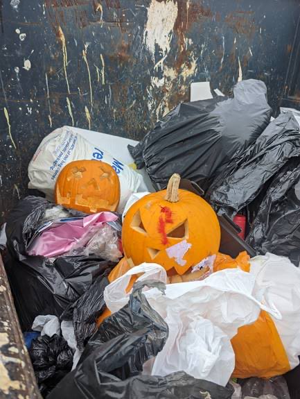 Please put your pumpkins in food waste recycling, not the rubbish! #recycling #foodwaste #circulareconomy
