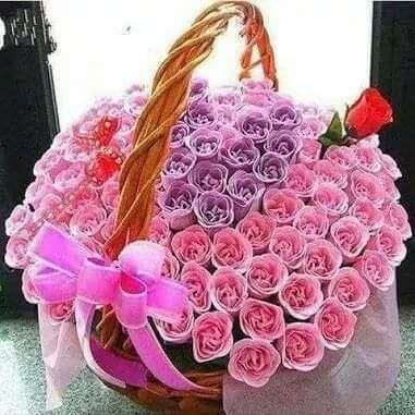 el84802472's tweet photo. #صورة_ملف_شخصي_جديدة https://t.co/coYc0BKBRt