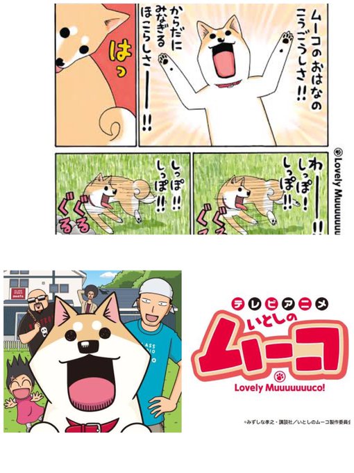 いとしのムーコ アニメレーダー