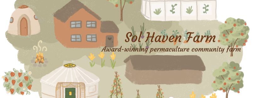 thelovingchef's tweet photo. Our Newsletter is packed with Love &amp; Joy 🌿🌾🌺 - https://t.co/hBQCU8nAze https://t.co/7UdNiMIqpV