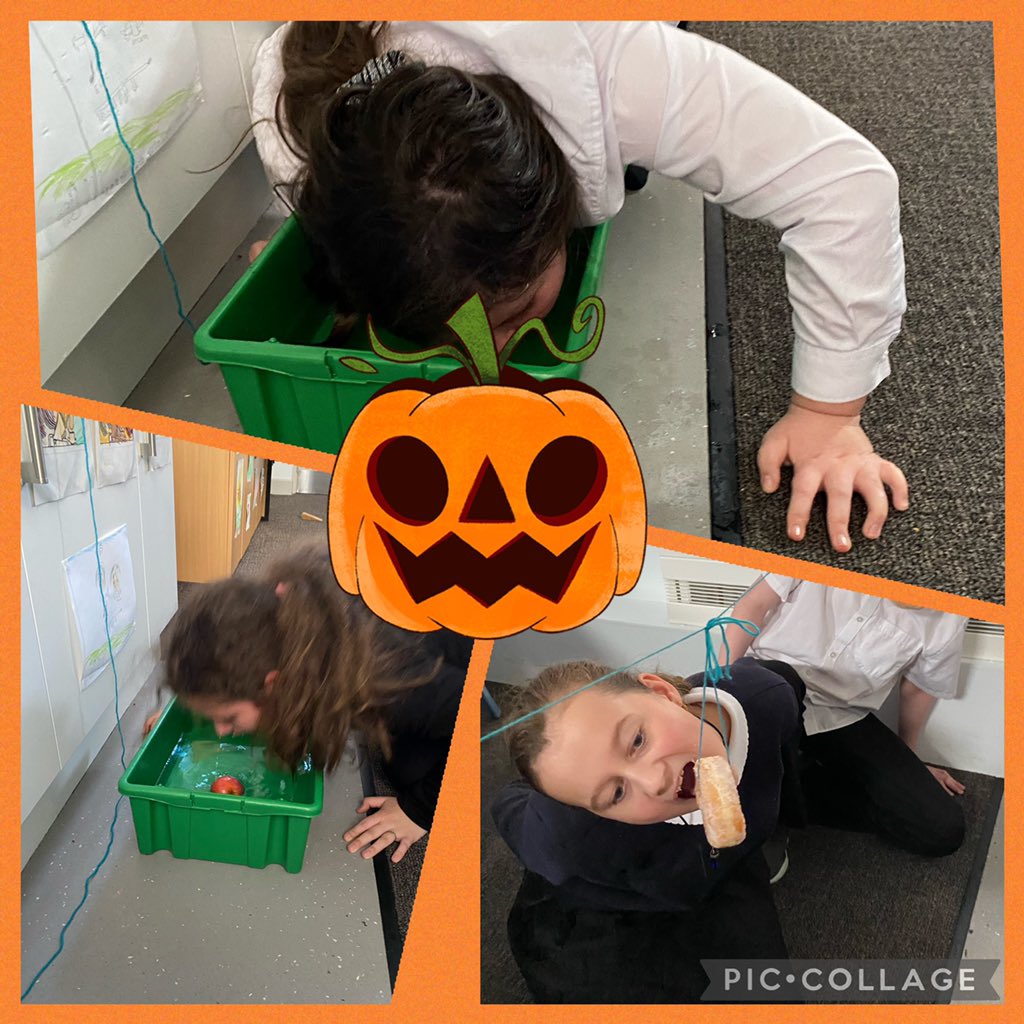 ISPPerthAcademy's tweet photo. Apple dooking, doughnut eating and general fun! https://t.co/cJ0gf11889