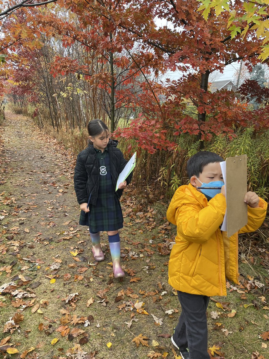 Lιѕα Mιтcнell (she/her/hers) tweet media