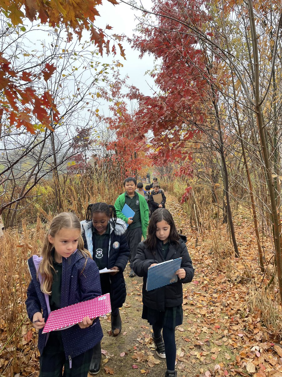 Lιѕα Mιтcнell (she/her/hers) tweet media