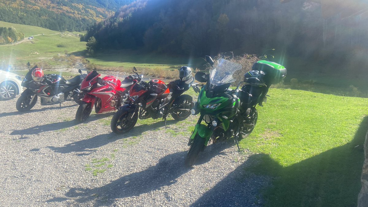 Iridiell tweet media