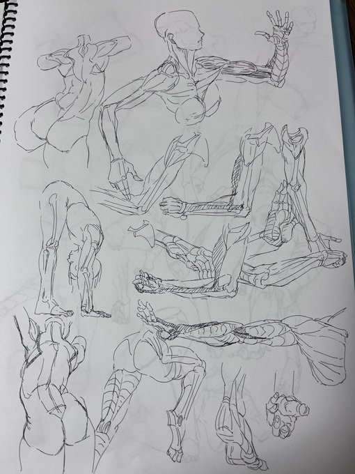 全く身になってるという感覚が無い 