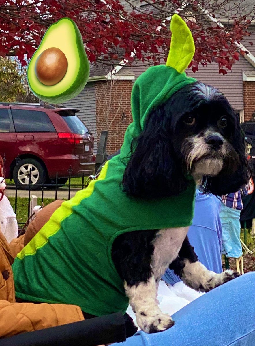 theextramille's tweet photo. halloween can be as long as you want if you dream hard enough✨🧌 https://t.co/AwQdobs2Ty