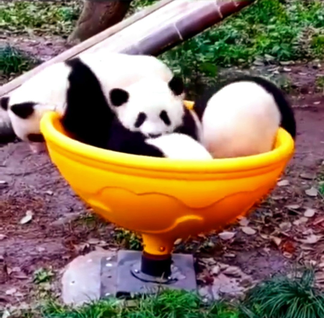 "Did I prove that I only have eyes for you?"