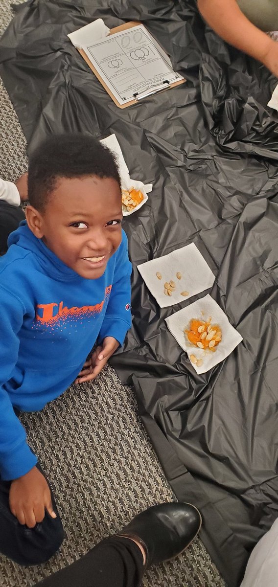 ACook_R2's tweet photo. Not a trick, but a treat! Today, we worked on describing, measuring, sorting, and counting pumpkin seeds. Our pumpkin had over 400 seeds! @SEstarsR2 #fallfun #pumpkinseeds https://t.co/S3IbW8UIpE