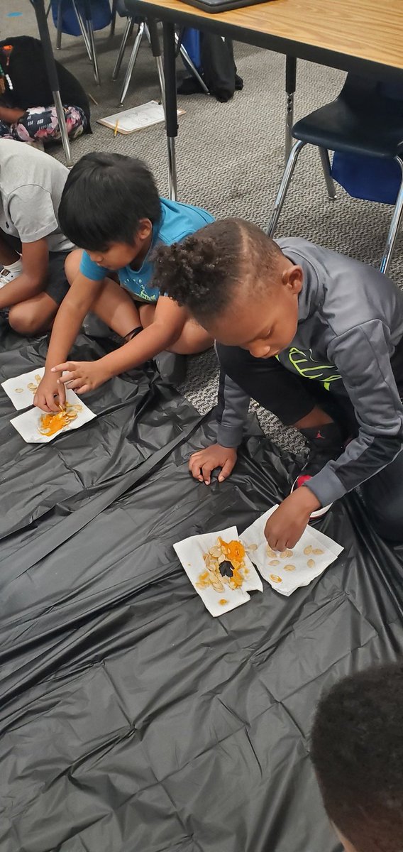 ACook_R2's tweet photo. Not a trick, but a treat! Today, we worked on describing, measuring, sorting, and counting pumpkin seeds. Our pumpkin had over 400 seeds! @SEstarsR2 #fallfun #pumpkinseeds https://t.co/S3IbW8UIpE