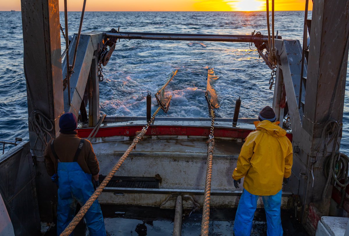 FJesulito86's tweet photo. Como ya sabéis la mayoría, el pasado 26 de octubre inauguramos mi proyecto fotográfico en Bar la Espuela 2 
#fotografia #foto #fotogrfo #marinero #pesca #pescadearrastre #sanlucardebarrameda #pescadores #barcos #barcosdesrrastre #mar #pescado https://t.co/X0nxNxnezI