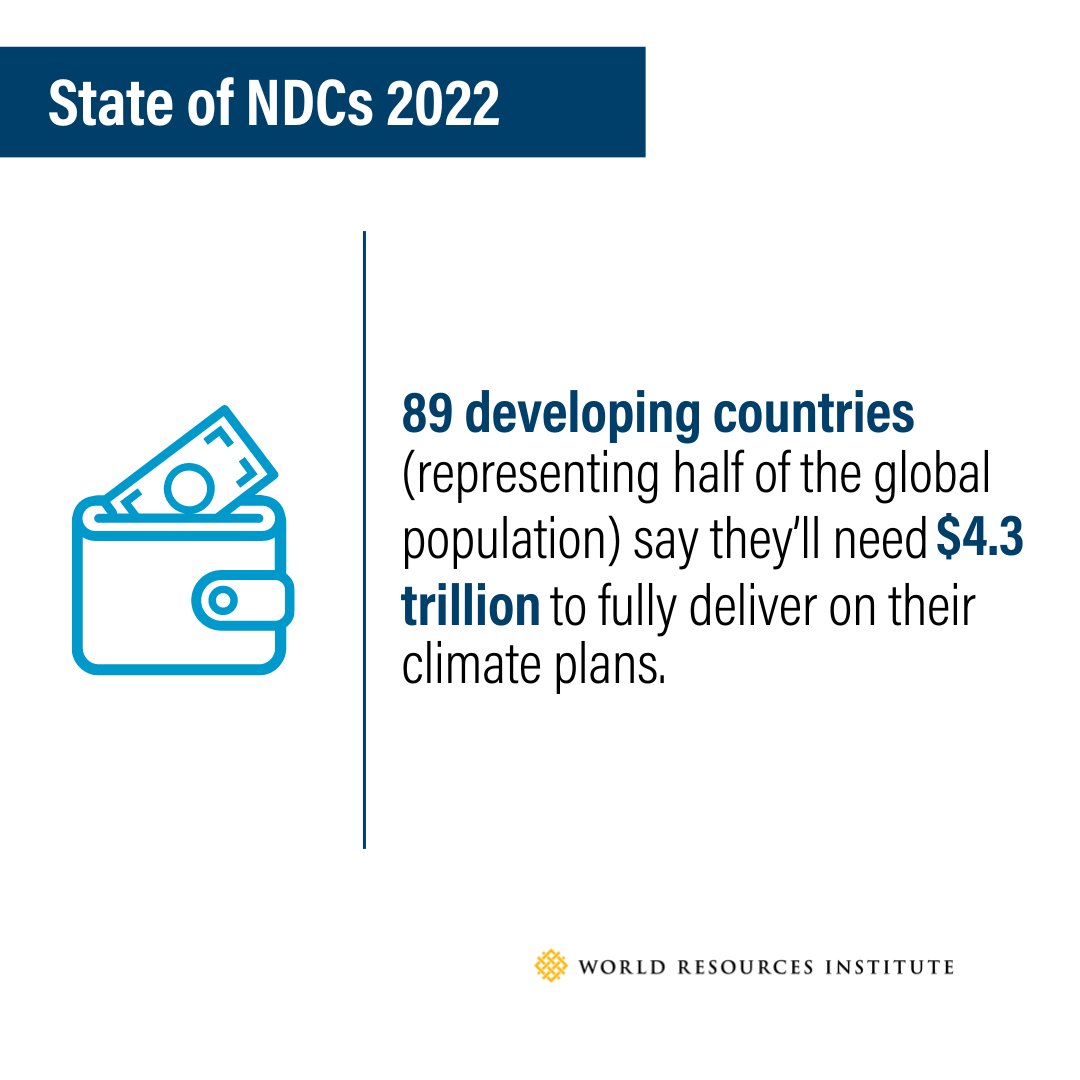 WRI Adaptation (Archive) tweet media