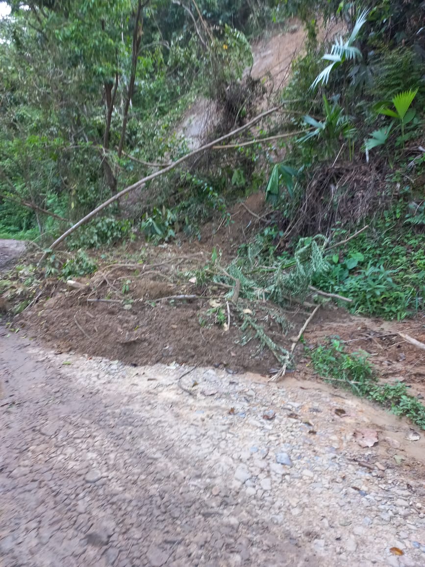 Alba Pinto tweet media